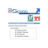 IMSS aval único